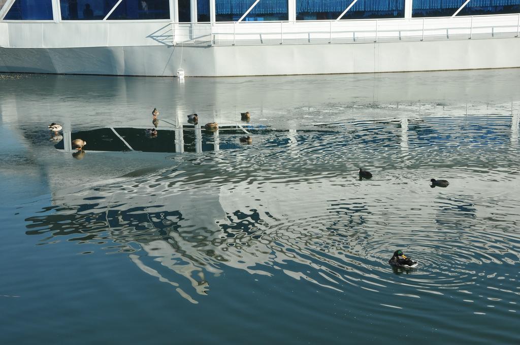 Hotel Brod Panini Veles Exteriör bild